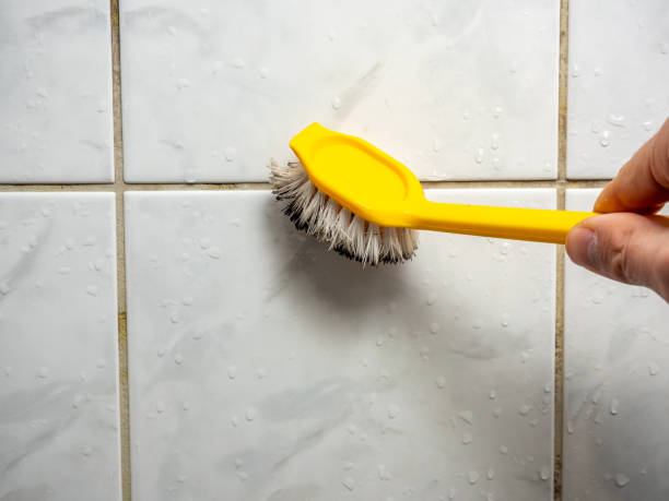 Best Localized Mold Remediation (e.g., coastal areas, humid climates) in Rockwood, MI